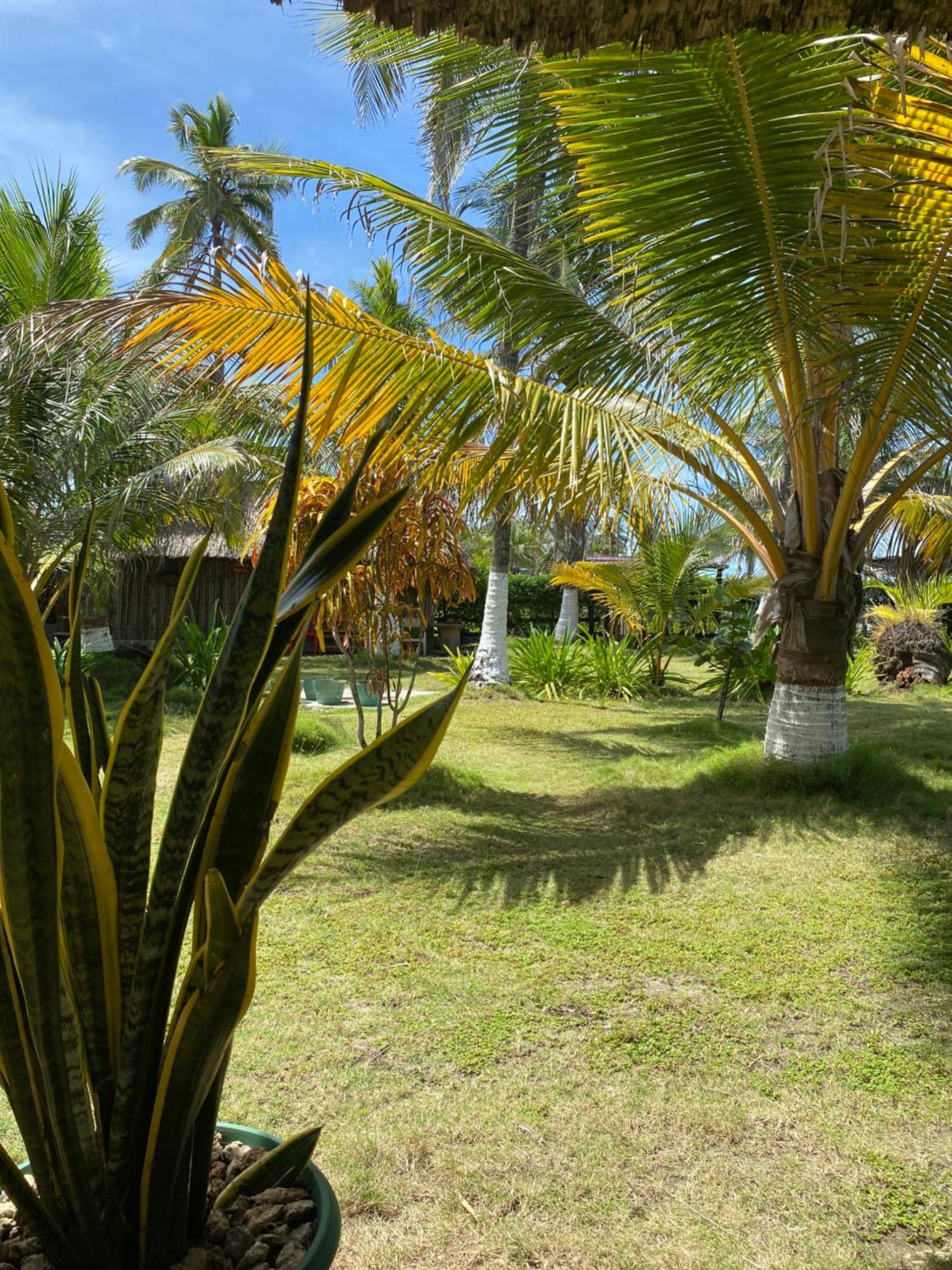 Zéfiro Hostal San Bernardo del Viento Esterno foto